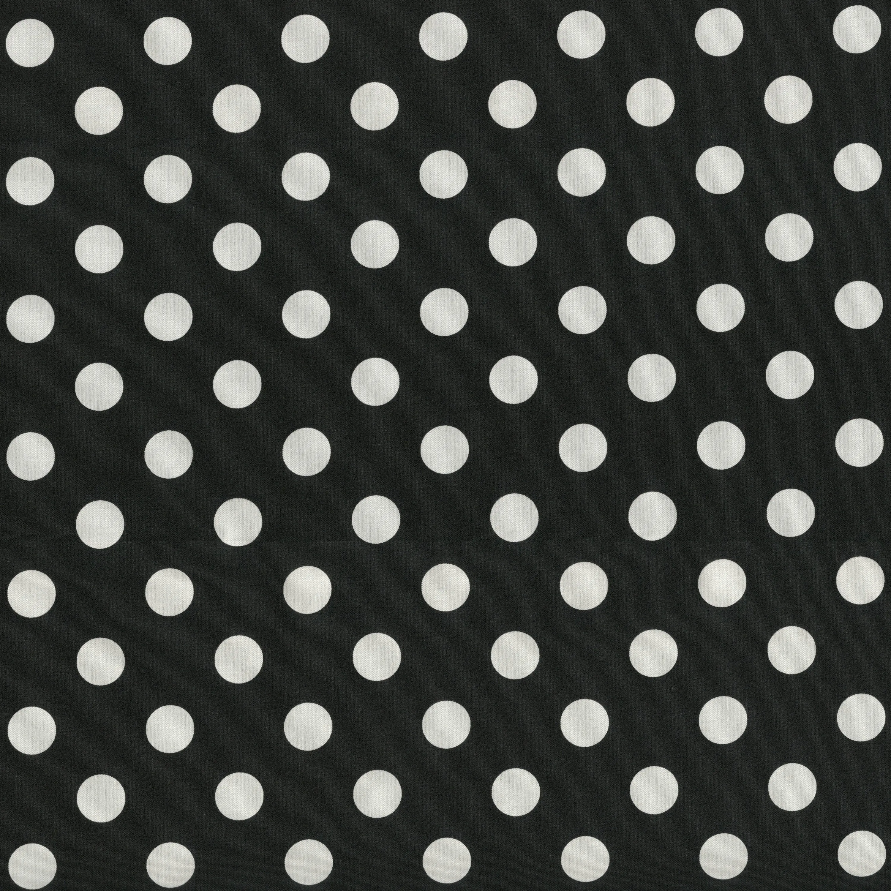 Polka Dot Black Squared Corners Seat Cushion (Set Of 2)