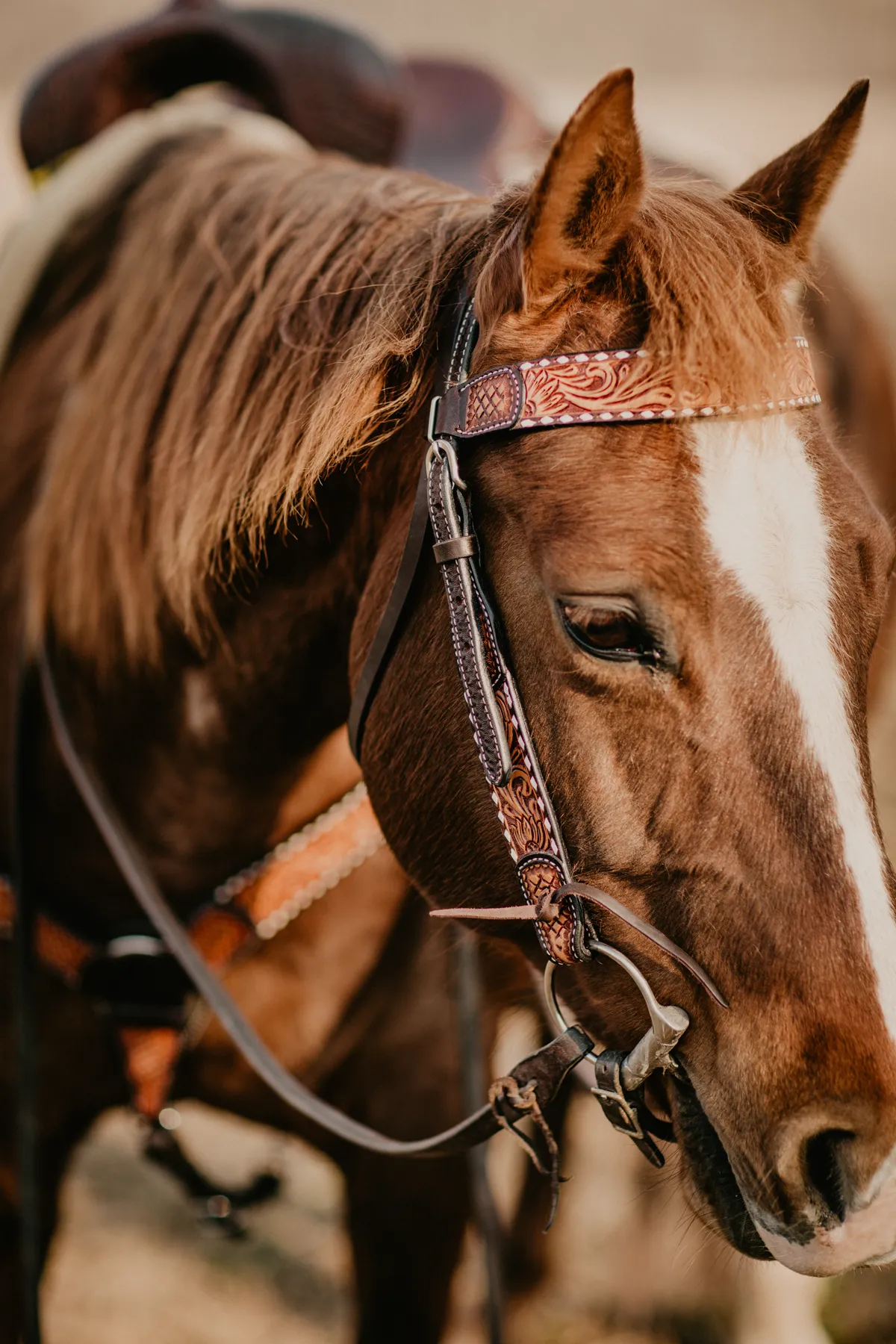 Sunflower Tooled Browband Headstall with Ivory Buckstitch