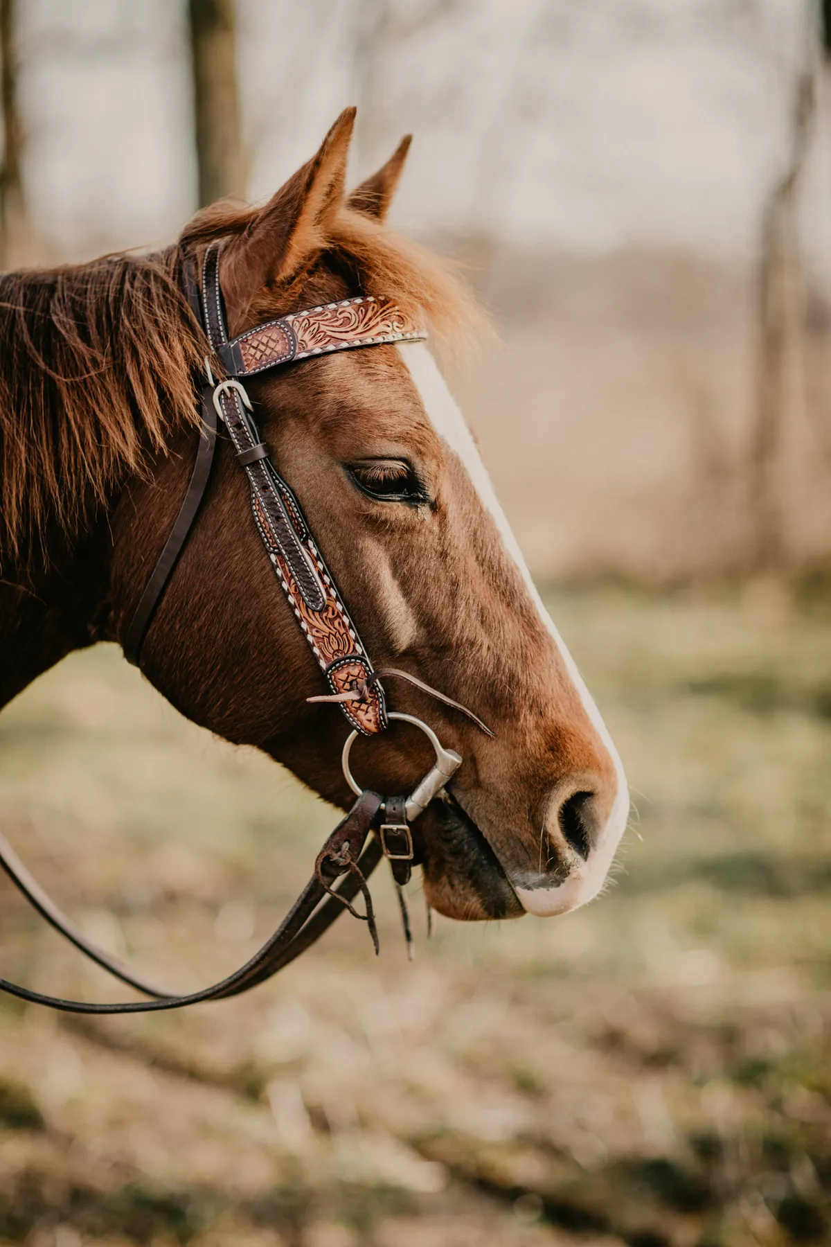 Sunflower Tooled Browband Headstall with Ivory Buckstitch