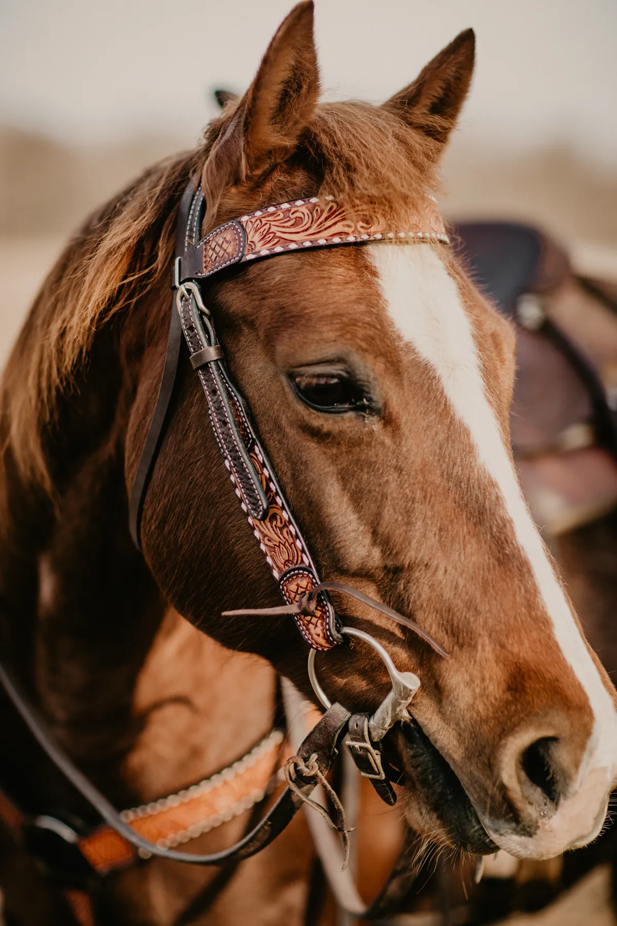 Sunflower Tooled Browband Headstall with Ivory Buckstitch